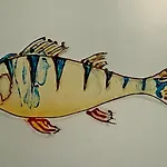 A Harasov