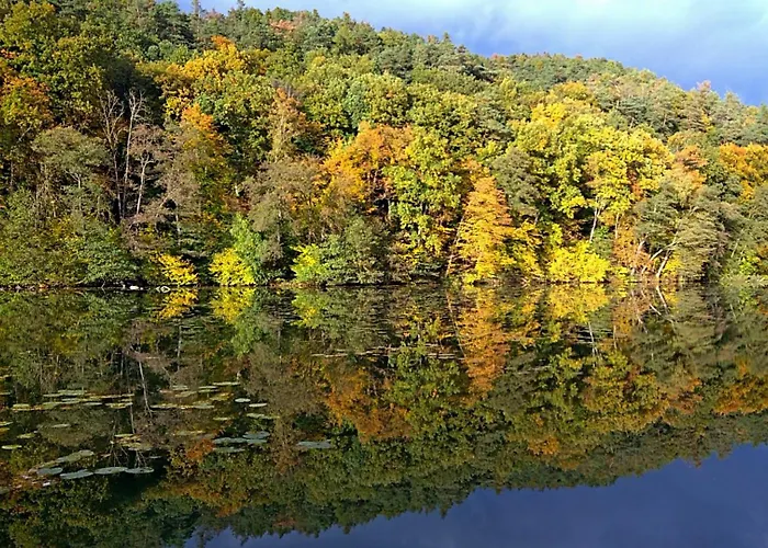 Vendégház A Harasov 4*